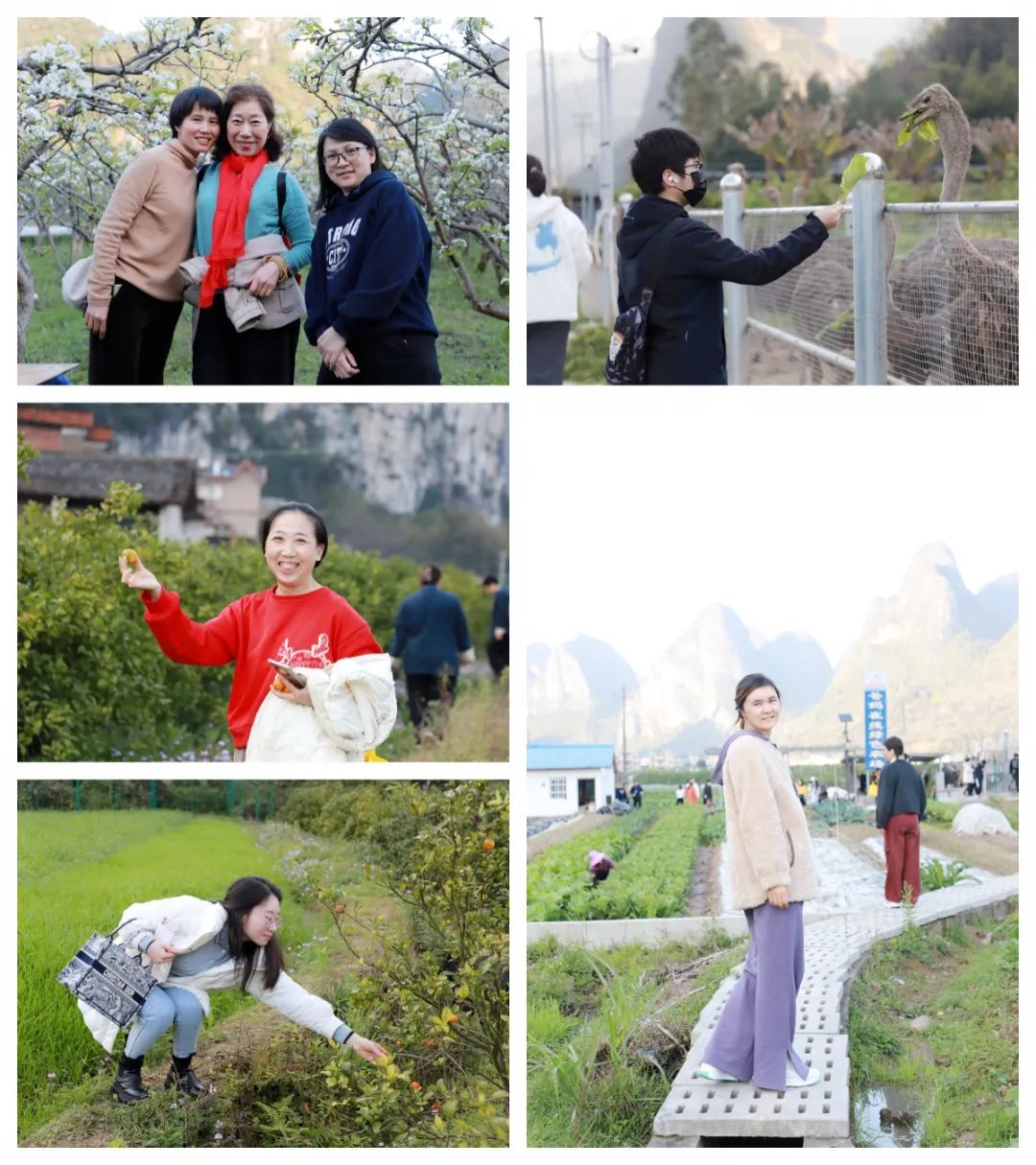 五天覺醒之旅，開啟幸福人生新篇章——第76期“生命覺醒 健康幸福”培訓圓滿結(jié)束